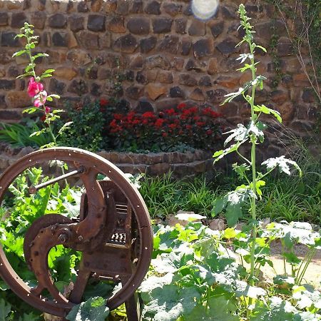 Kalahari Farmhouse Campsite Stampriet Εξωτερικό φωτογραφία